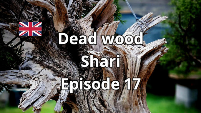 Book - Dead wood - Shari Ep.17